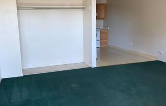 1 bed, 1 bath, $800