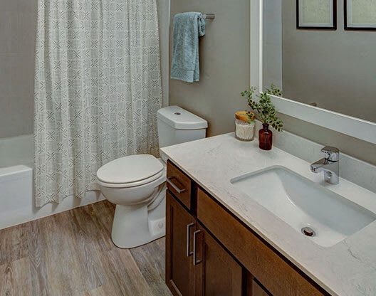 a bathroom with a sink and a toilet