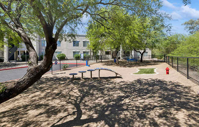 Community Dog Park with Agility Equipment at Ridgeline Apartments in Tucson, AZ.