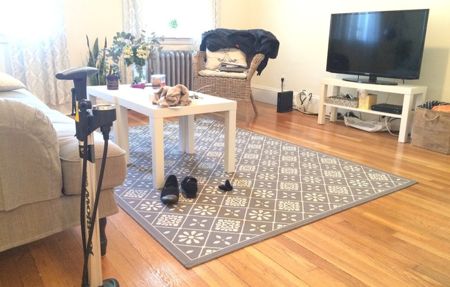 1 bed, 1 bath, 934 sqft, $2,500, Unit 02-014