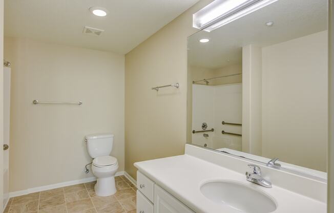 a bathroom with a sink toilet and mirror