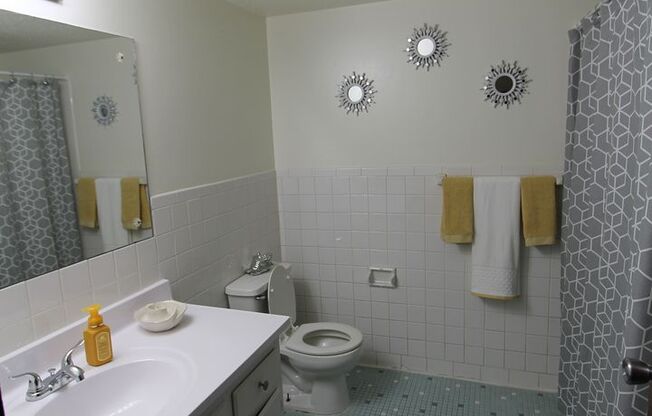 1 bed, 1 bath, 800 sqft, $810, Unit 117