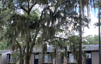 Residences social circle