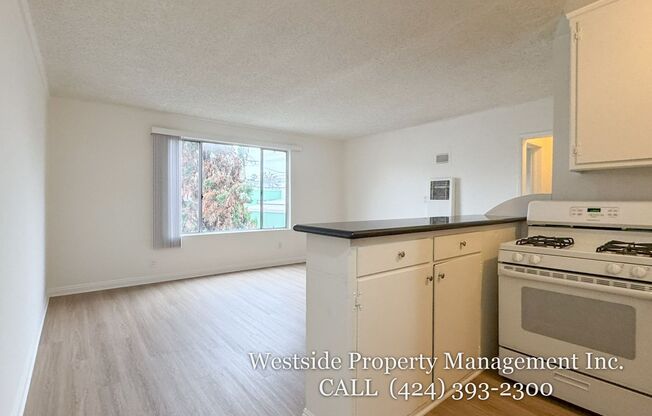 1138 Euclid St.