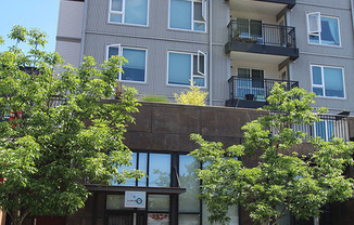 LIKE NEW, 1 BED, 1 BATH CONDO W HIGH END FINISHES AND EASY COMMUTE!