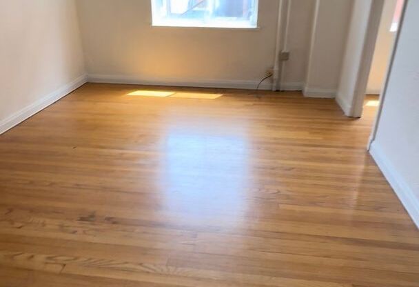 Studio, 1 bath, 300 sqft, $695, Unit Apt 103