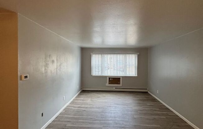 2 beds, 1 bath, 1,000 sqft, $1,250, Unit Apt#3