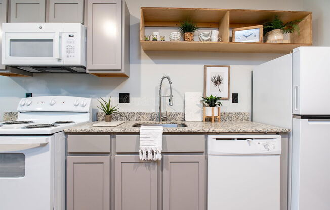 1 bed, 1 bath, 500 sqft, $825, Unit 305