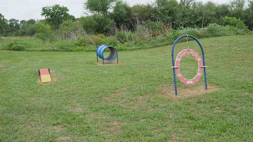 A playground with a blue and red ring and a yellow block.