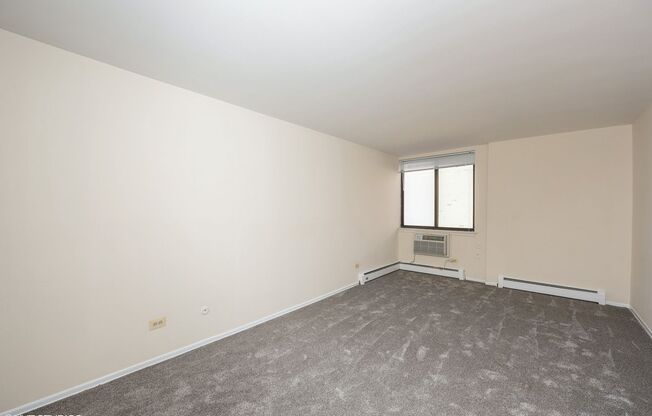 Lincoln Park Living!