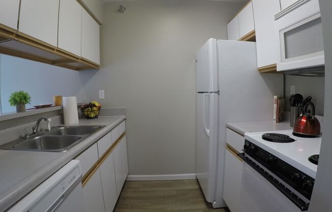 1 bed, 1 bath, 575 sqft, $870