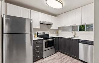 Vibe Apartments
