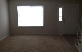2925 Theodorus Ct