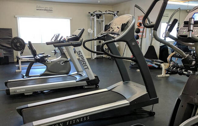 Cardio equipment at Greeley CO fitness center