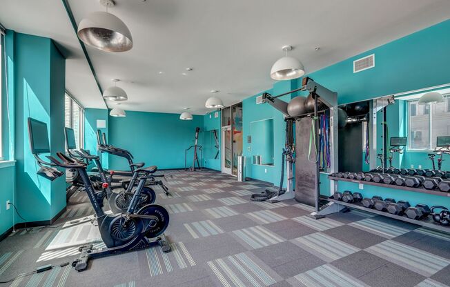 Element Apartments