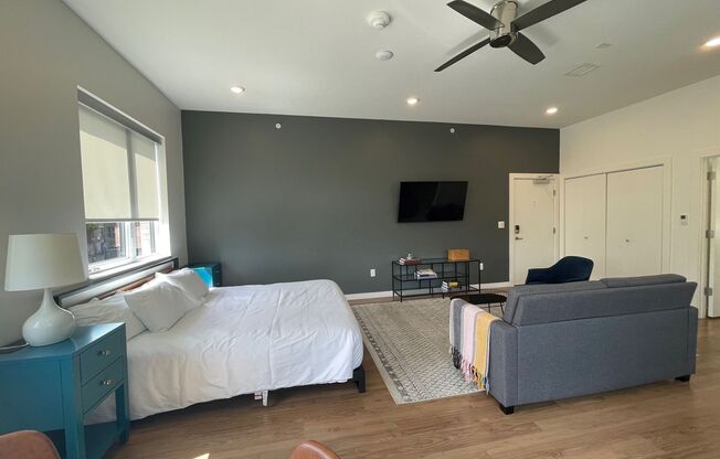 Studio, 1 bath, 546 sqft, $1,600, Unit 201