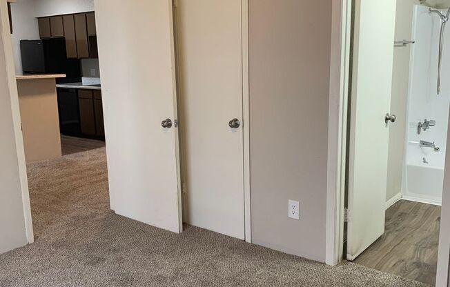 1 bed, 1 bath, 545 sqft, $795, Unit 2404