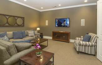 tv and media room