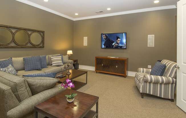 tv and media room