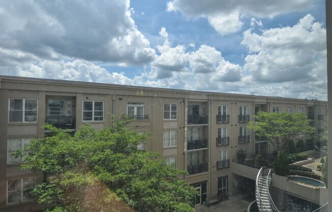 1 bed, 1 bath, $1,600, Unit # 536