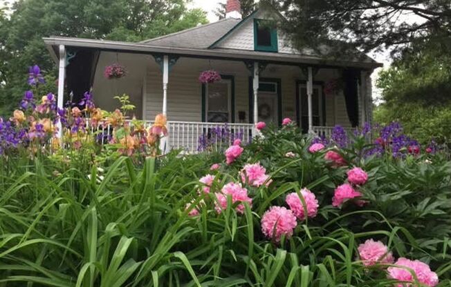 Charming and Sunlight 3BD, 1 BA in the Quaint DC Suburb of Mount Rainer, MD!!!