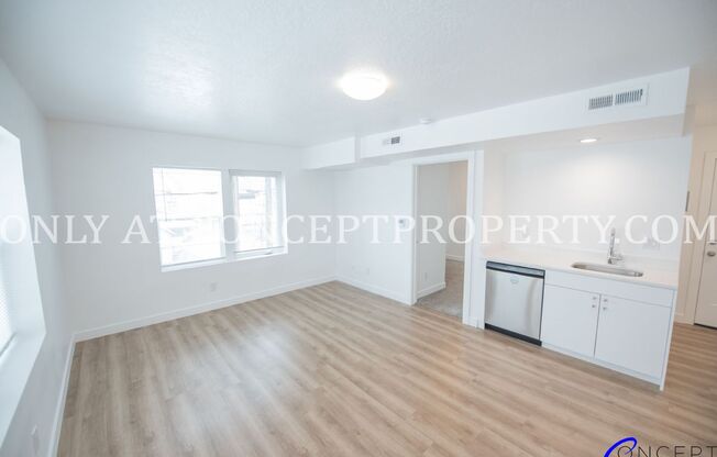 1 bed, 1 bath, 402 sqft, $1,249, Unit 132- (41)