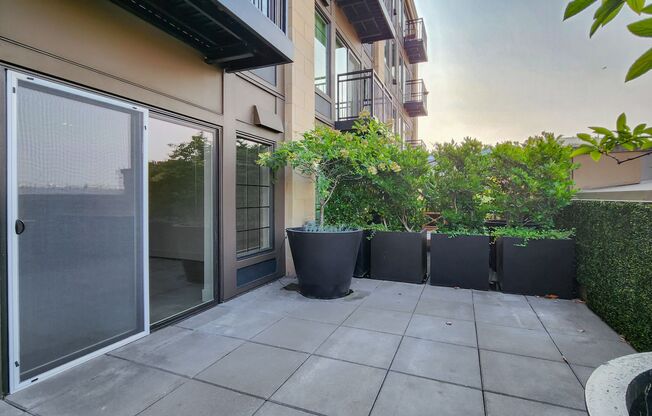 1 bed, 1 bath, 510 sqft, $2,625, Unit 314