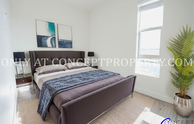 Studio, 1 bath, 400 sqft, $1,449, Unit 203