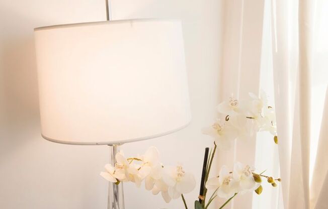 1 bed, 1 bath, $2,100, Unit 3