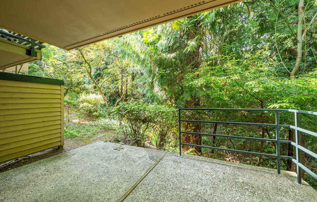 A concrete patio with a metal railing overlooking a lush green forest.