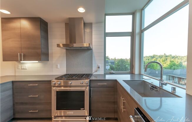 3Bd/2.5Ba Seattle Townhome
