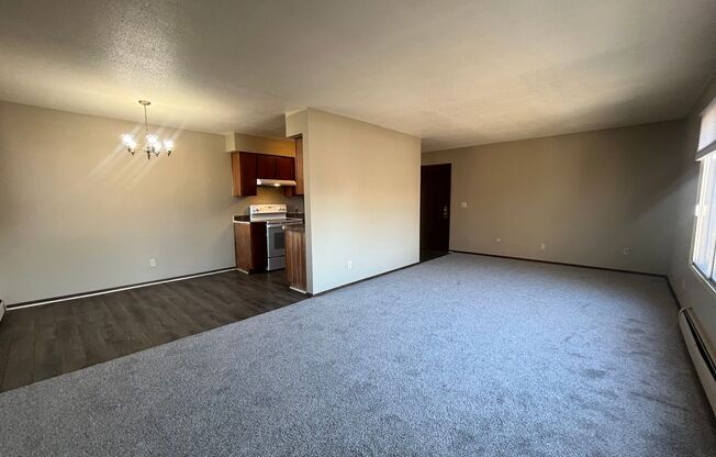1 bed, 1 bath, 970 sqft, $970, Unit 310