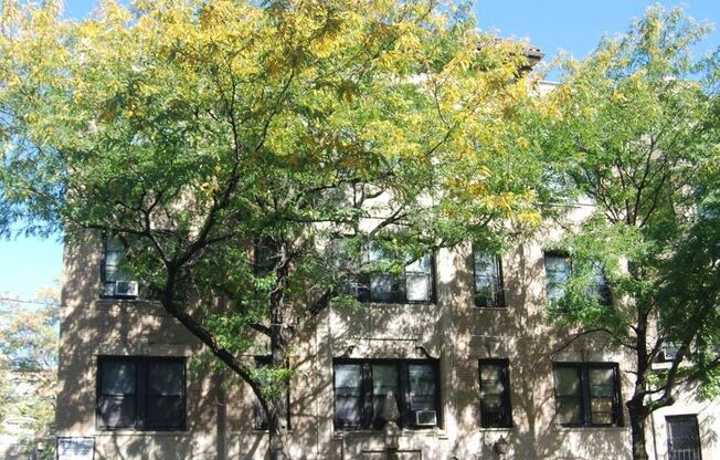 Studio, 1 bath, 375 sqft, $1,455, Unit 644-205