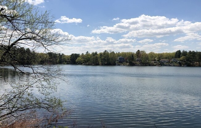 65 KINGLAND RD