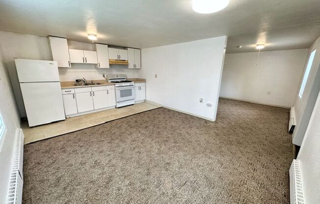 Studio, 1 bath, 500 sqft, $895, Unit 01