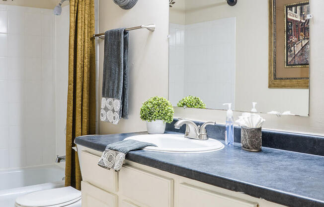 a bathroom with a white toilet next to a white sink with a blue countertop