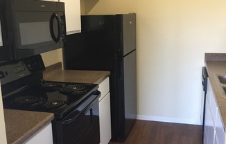 1 bed, 1 bath, $800