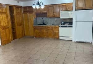 1 bed, 1 bath, $2,500, Unit 1