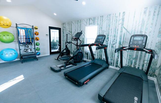 A home gym with treadmills, elliptical machines, and exercise balls.