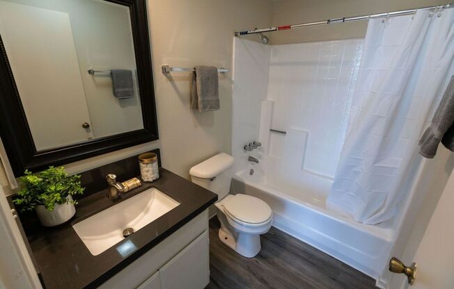 Studio, 1 bath, 600 sqft, $2,498, Unit 105
