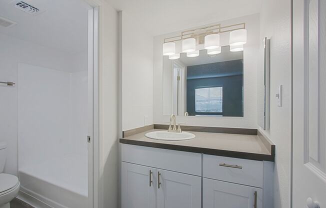 a bathroom with a sink and a mirror and a shower