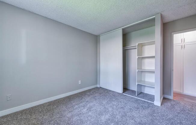 Bedroom with Closet Organizer