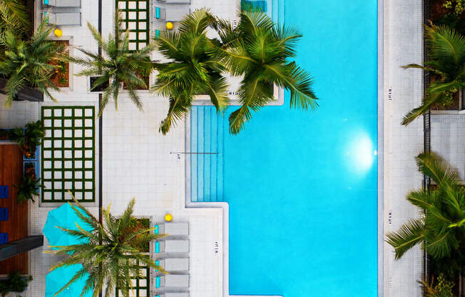 Aerial view of pool  | District at Rosemary