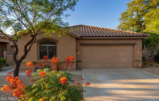 Incredible Community Amenities in Estrella Mountain Ranch!