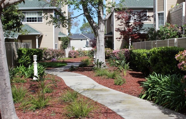 Rarely available townhouse in Farallon Island Park just behind Oracle in Belmont Location
