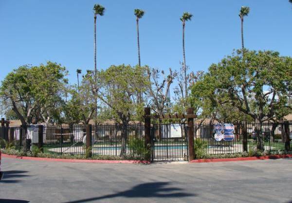 1 bed, 1 bath, 410 sqft, $1,795, Unit 009#B84