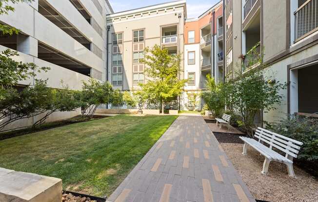 A walkway with benches and trees in front of apartment buildings.