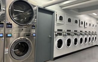 Studio, 1 bath, $1,095, Unit 312