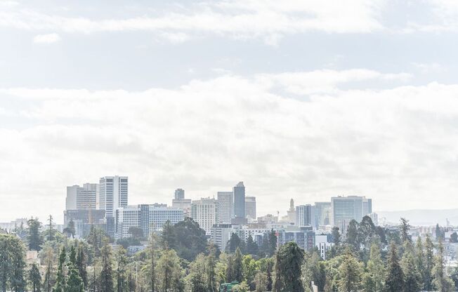 2 beds, 2 baths, 1,167 sqft, $4,029, Unit 205