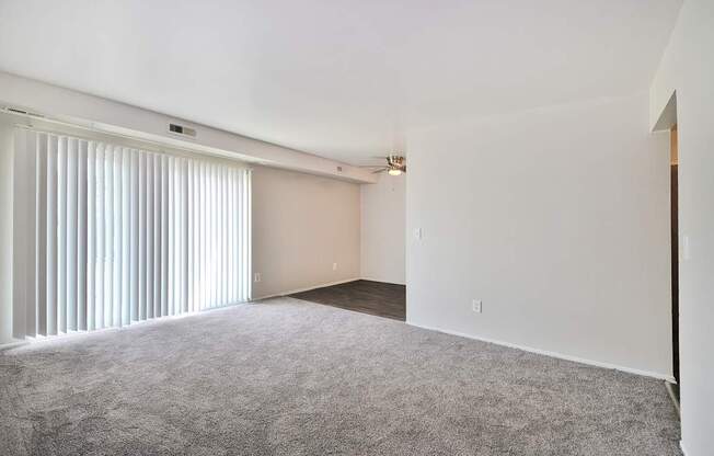 Spacious living room with large windows, neutral walls, and plush carpet at Warren Woods Apartments in Warren, MI.